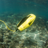 Chasing Dory